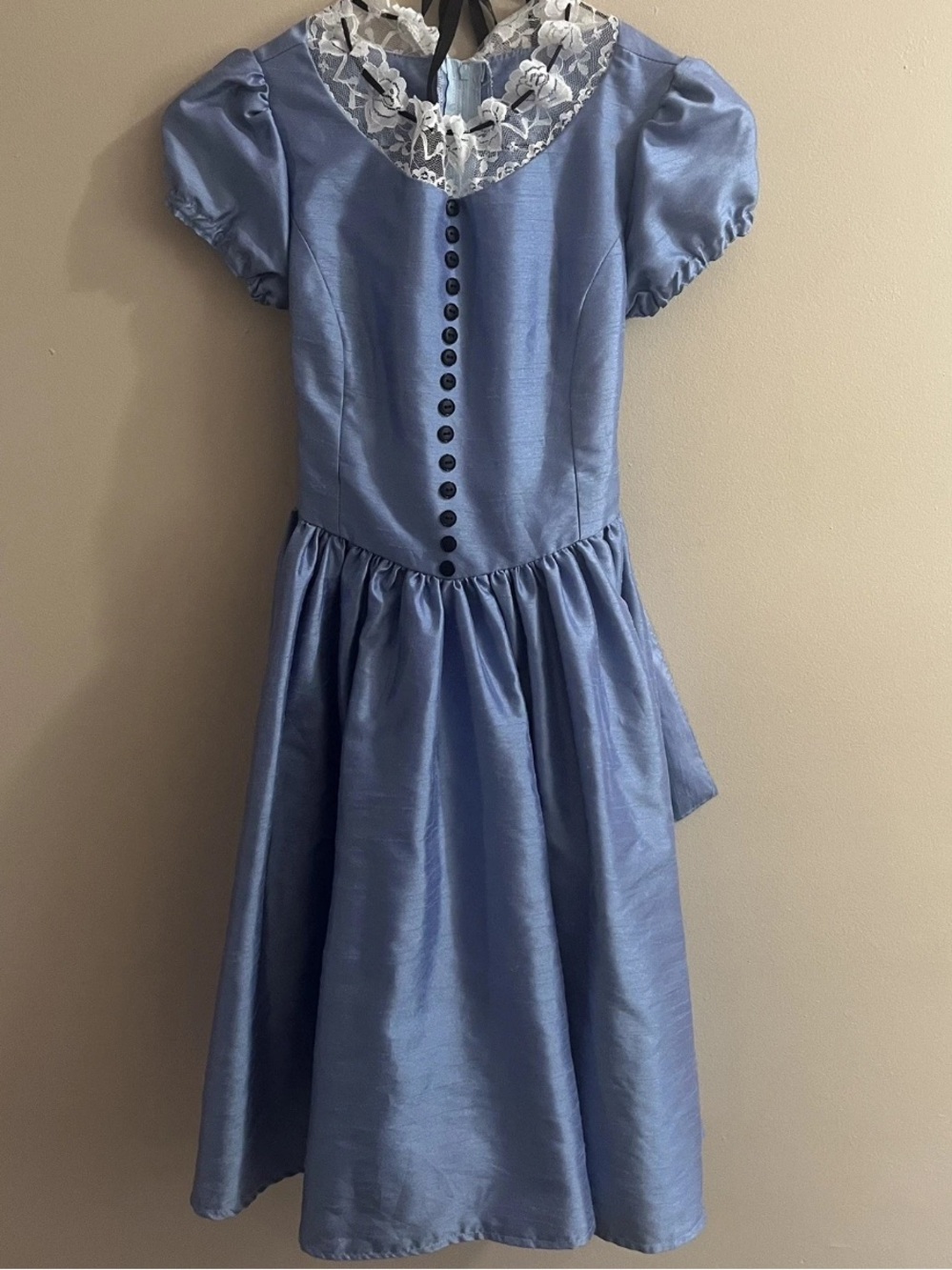 Handmade Alice in Wonderland Girl’s Halloween / Theater Costume
